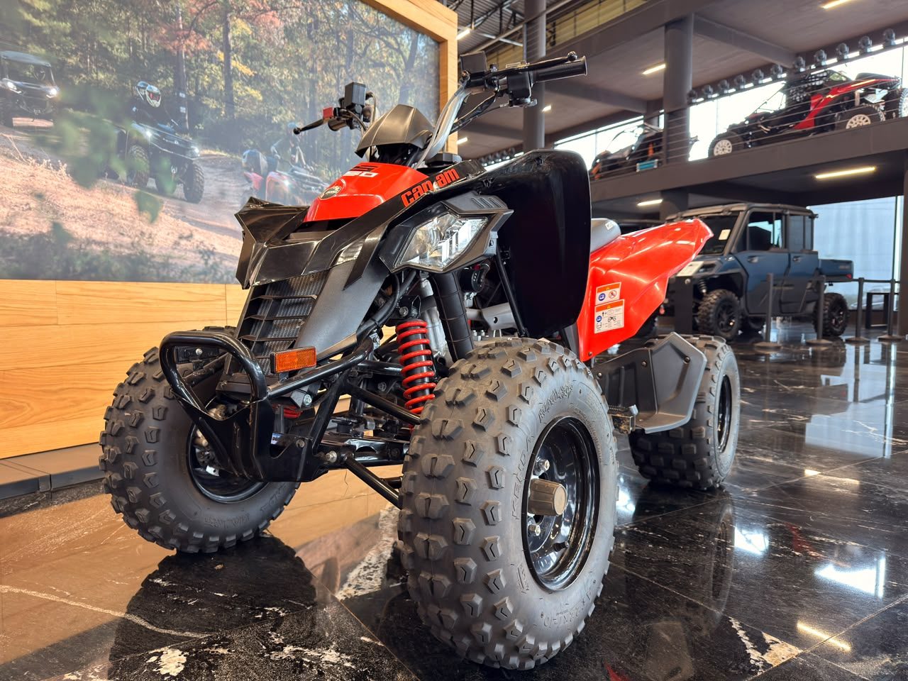 Can-Am DS 250 4X2